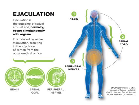 public ejaculation|Ejaculation: How It Works, Complications & Disorders .